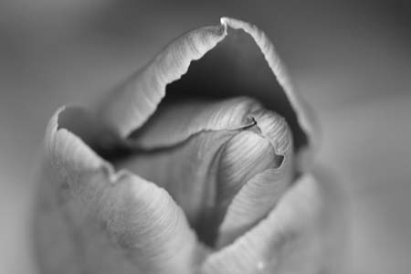 IMG_6774-2