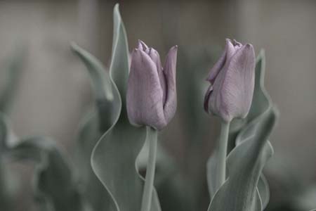 IMG_6797-2