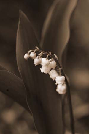 IMG_6843-2