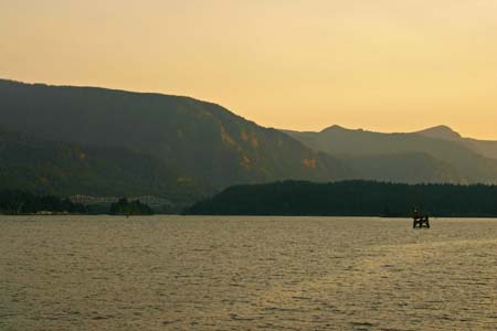 IMG_8293-2