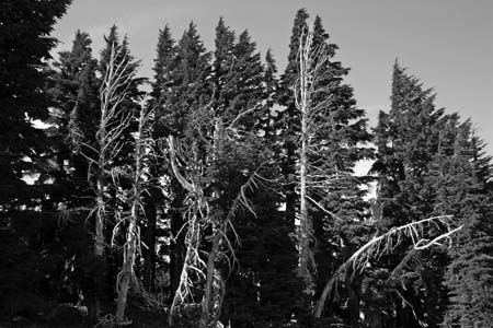 IMG_8451-2