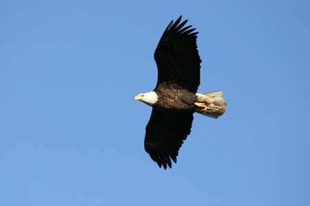 IMG_2895