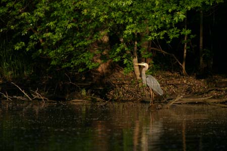 IMG_3473